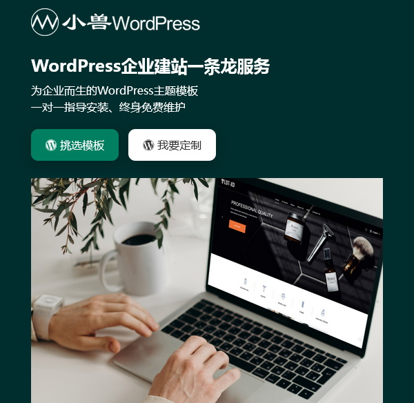 南京wordpress企业网站开发大概多少钱